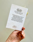 Wildflower Seed Card + Mini Bouquet