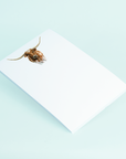 Longhorn Portrait Notepad